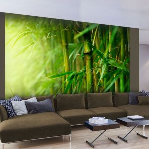 Fototapeta - džungle - bambus Artgeist