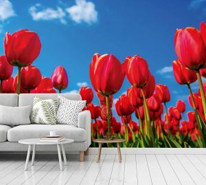 Tapeta čevené tulipány interior