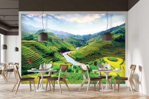 Rýžová pole Vietnam shutterstock 516160834 interier