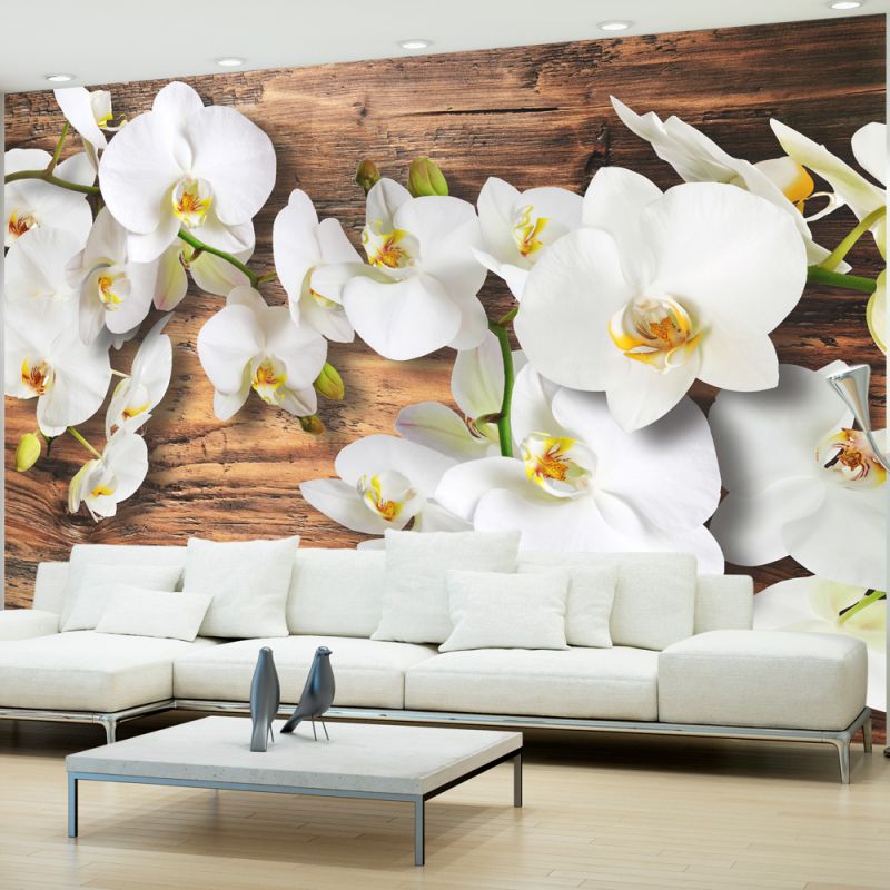 Fototapeta - Forest Orchid Artgeist