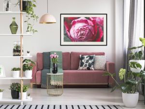 Blooming Rose Artgeist