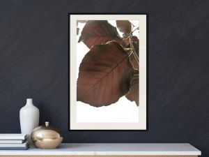 Burgundy Tilia Leaf Artgeist