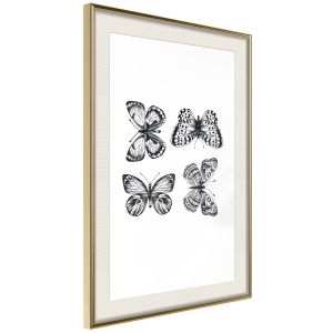 Butterfly Collection III Artgeist