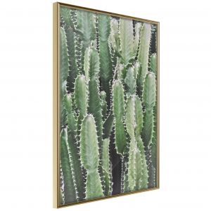 Cactus Plantation Artgeist