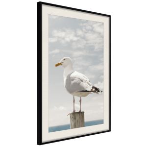 Curious Seagull Artgeist
