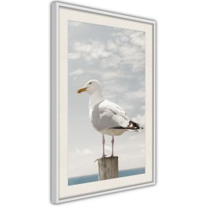 Curious Seagull Artgeist