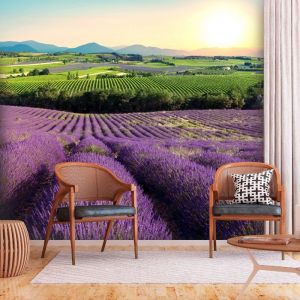 Fototapeta - Lavender Field | 100x70, 150x105, 200x140, 250x175, 300x210, 400x280, 450x315