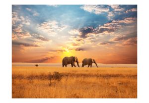 Fototapeta - African savanna elephants Artgeist