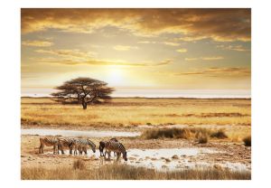Fototapeta - African zebras around watering hole Artgeist