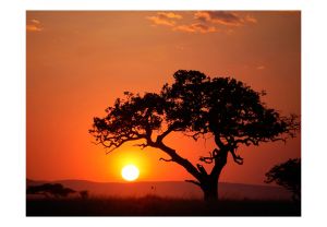 Fototapeta - Afrika: západ slunce Artgeist