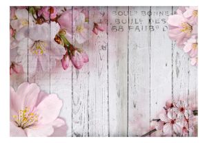 Fototapeta - Apple Blossoms SKLAD Artgeist