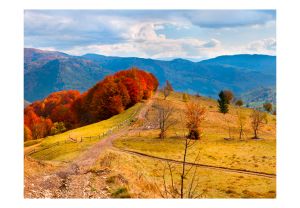 Fototapeta - Autumn landscape in the Carpathian mountains Artgeist