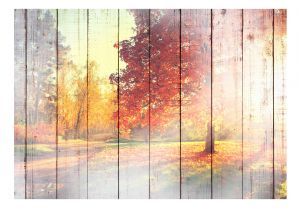 Fototapeta - Autumn Sun Artgeist