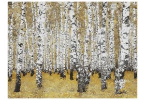 Fototapeta - Autumnal birch forest Artgeist