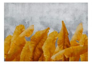 Fototapeta - Banana Leaves Artgeist
