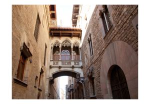Fototapeta - Barcelona Palau generalitat in gothic Barrio Artgeist