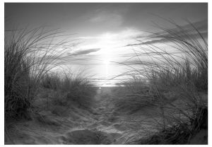 Fototapeta - beach (black and white) Artgeist