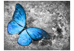 Fototapeta - Blue butterfly Artgeist