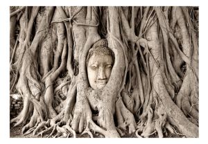 Fototapeta - Buddha's Tree Artgeist