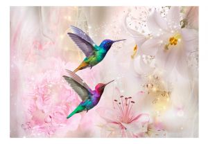 Fototapeta - Colourful Hummingbirds (Pink) Artgeist