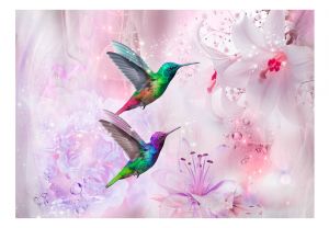 Fototapeta - Colourful Hummingbirds (Purple) Artgeist