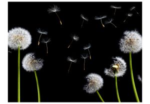 Fototapeta - Dandelions in the wind Artgeist
