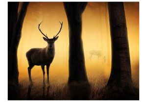 Fototapeta - Deer in his natural habitat Artgeist