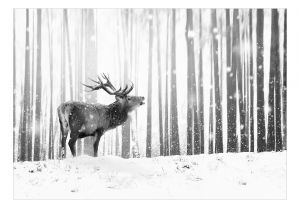 Fototapeta - Deer in the Snow (Black and White) Artgeist