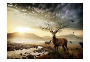 Fototapeta - Deers by mountain stream Artgeist