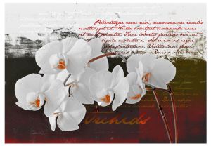 Fototapeta - Diary and orchid Artgeist