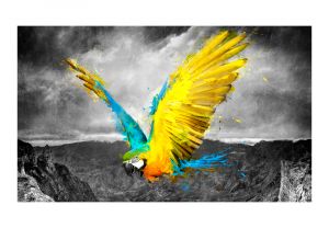 Fototapeta - Exotic parrot Artgeist