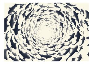 Fototapeta - Fish swirl Artgeist