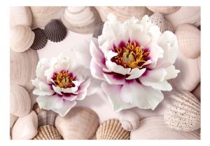 Fototapeta - Flowers and Shells Artgeist