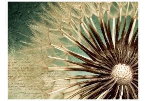 Fototapeta - Focus on dandelion Artgeist
