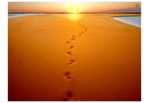 Fototapeta - Footprints in the sand Artgeist