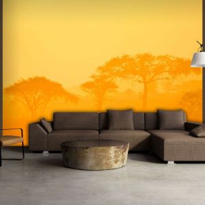 Fototapeta - Orange savanna | 200x154, 250x193, 300x231, 350x270, 400x309