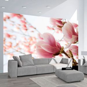 Fototapeta - Pink magnolia | 200x154, 250x193, 300x231, 350x270, 400x309