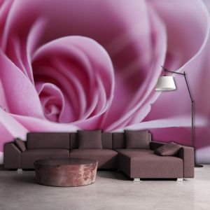 Fototapeta - Pink rose | 200x154, 250x193, 300x231, 350x270, 400x309